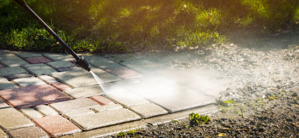 Animal Enclosure Cleaning in Kings Beach, CA